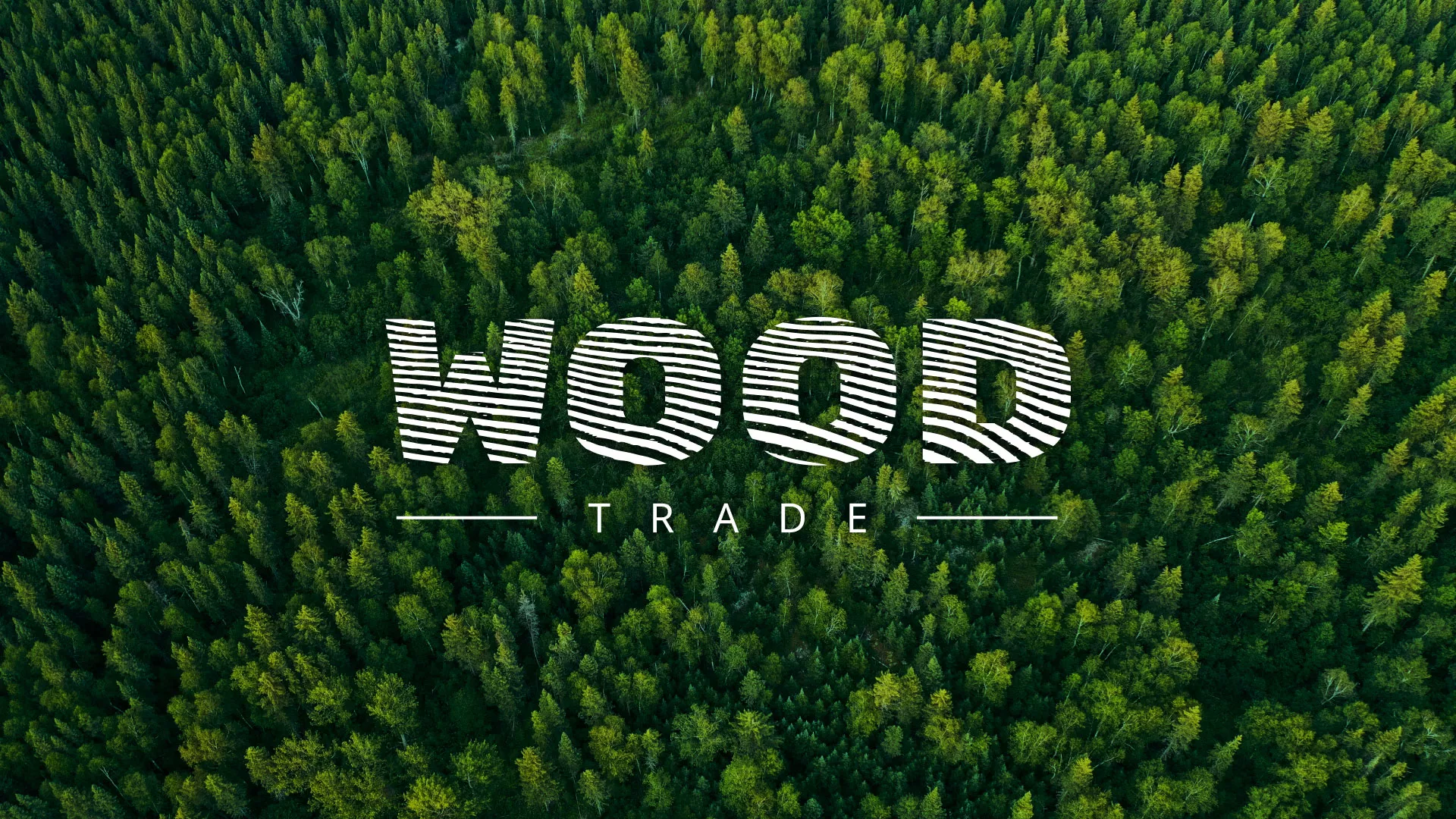 Разработка интернет-магазина компании «Wood Trade» в Мензелинске